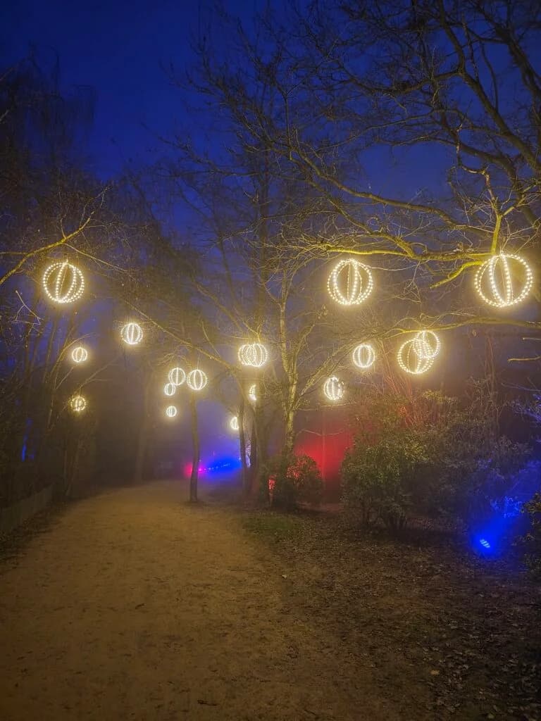 Les Nuits du Parc 2025 : le spectacle sons et lumières du Parc des Oiseaux